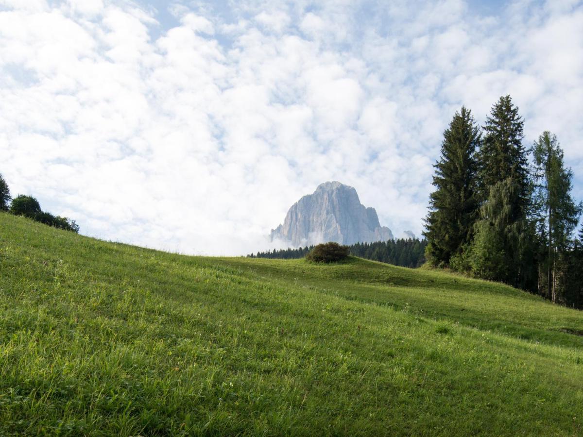 Apartment Ronch Selva di Val Gardena Exterior photo